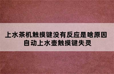 上水茶机触摸键没有反应是啥原因 自动上水壶触摸键失灵